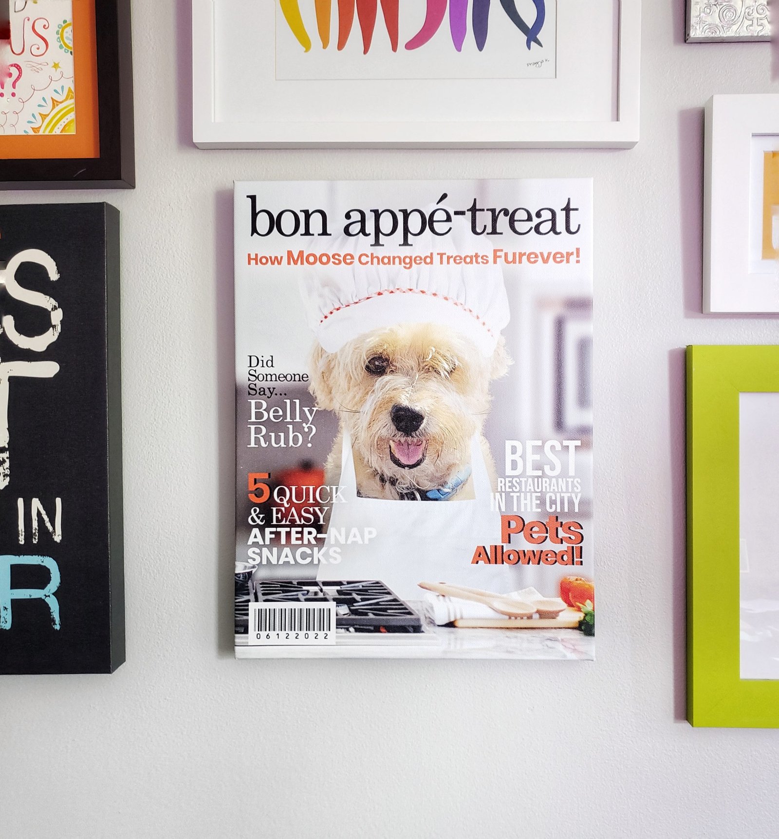 Moose, a cute older dog, on a faux magazine cover gifted by Guilty Paws