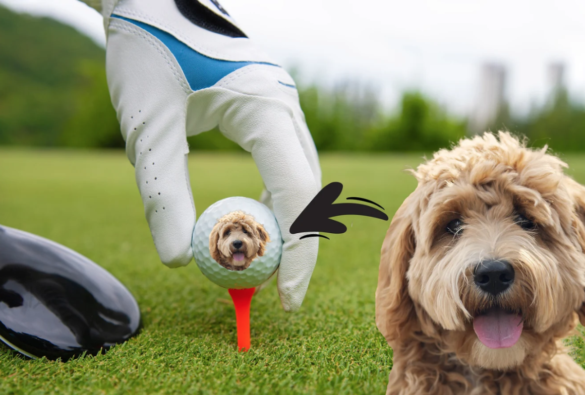 personalized golf balls by Now Thats Personal