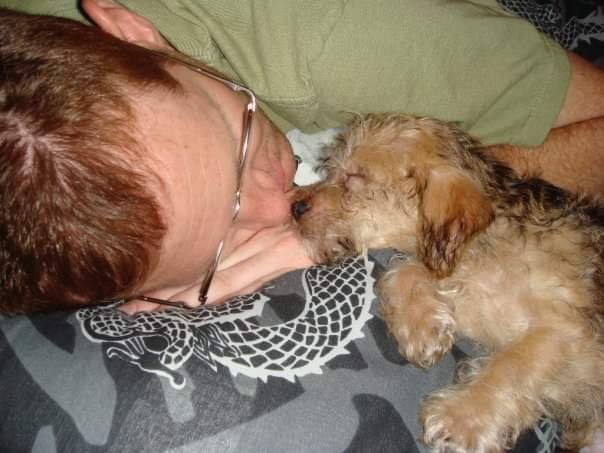 a dog named Moose as a puppy nose to nose with his Dad